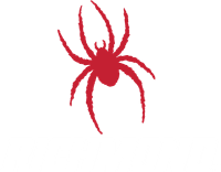 University of Richmond banner logo