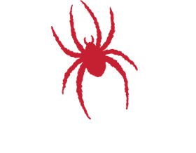 University of Richmond banner logo